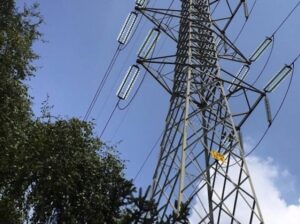 Taglio piante in prossimità di linee elettriche di alta tensione