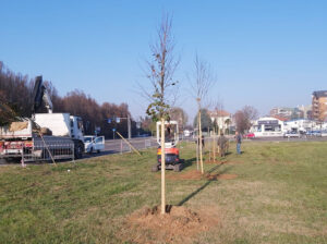 Almeno 300 nuove piante a Garbagnate!