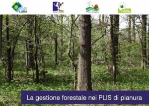 Incontro formativo “La Gestione Forestale Nei P.L.I.S. Di Pianura”