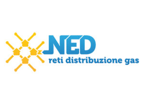 NED – Avviso di selezione pubblica per la ricerca di n. 1 impiegato tecnico con funzioni di Direttore Lavori