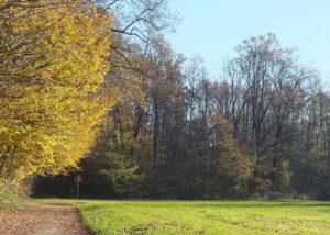 Due Incontri Con Il Parco